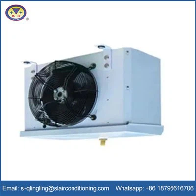 Lucht leanúna amháin aeir with